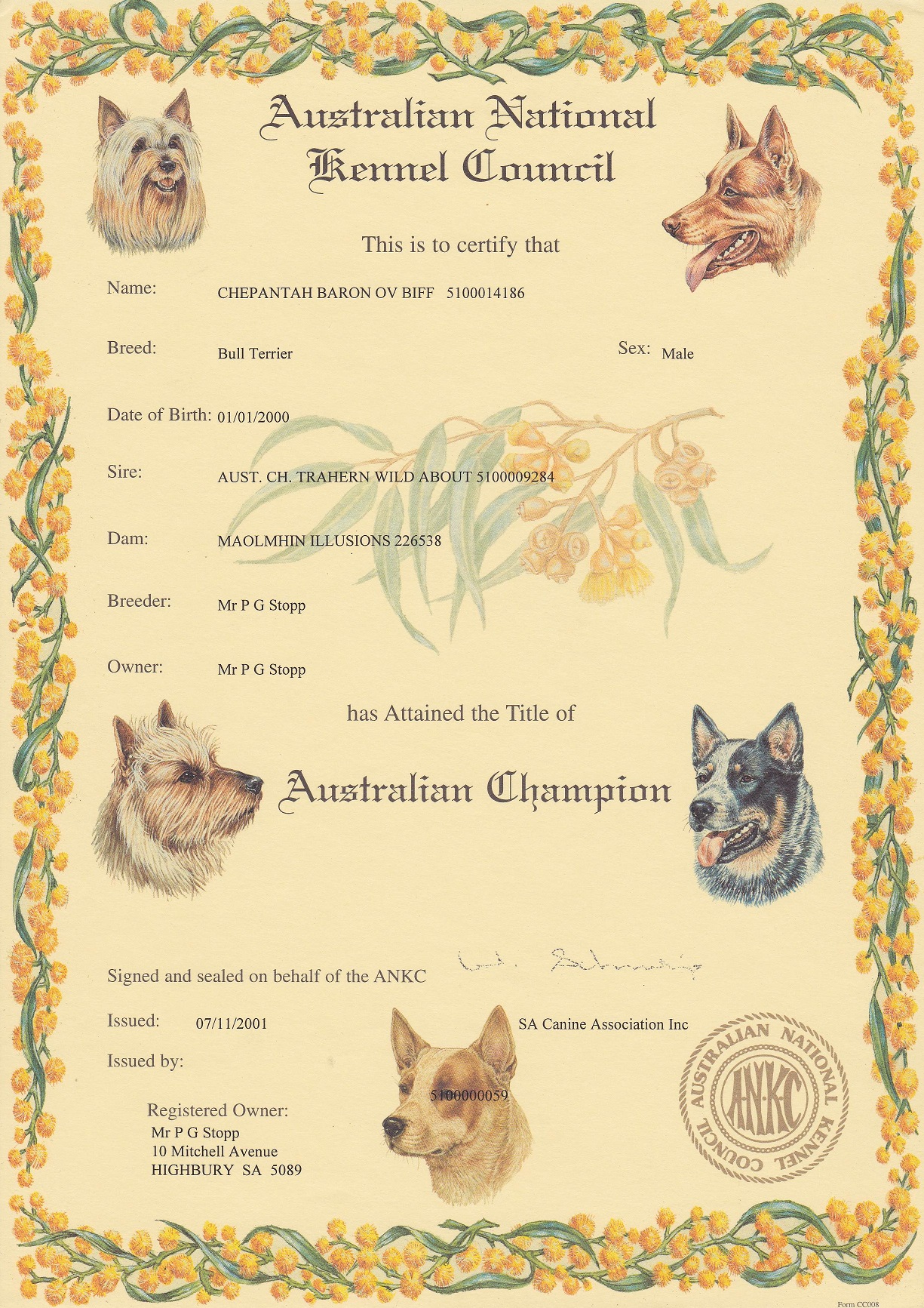 Championship Certificate
